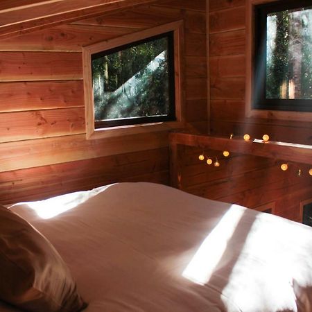 Cabanas Bosque Milenario Coñaripe 외부 사진