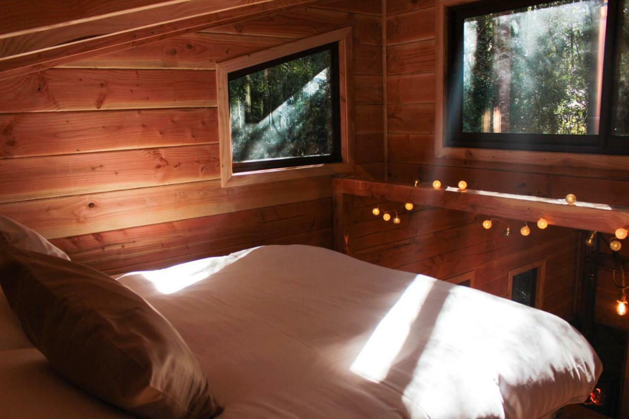 Cabanas Bosque Milenario Coñaripe 외부 사진