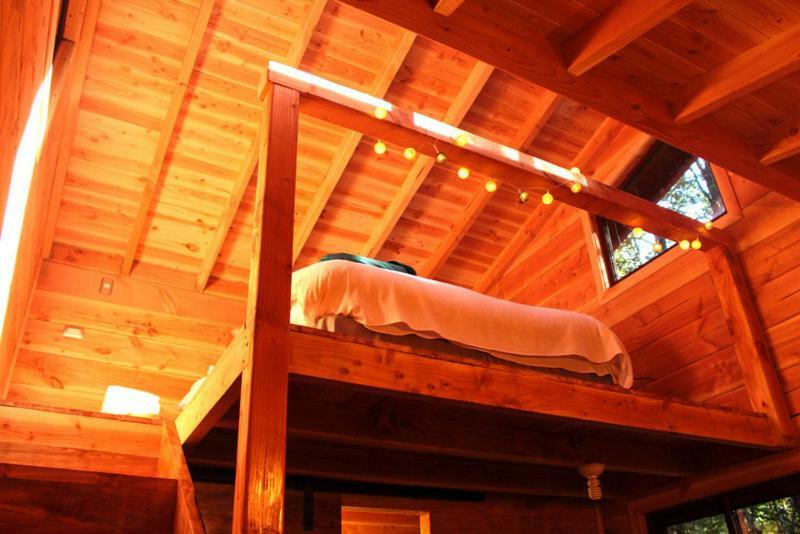 Cabanas Bosque Milenario Coñaripe 외부 사진