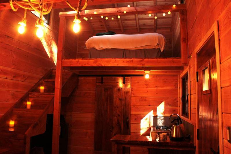 Cabanas Bosque Milenario Coñaripe 외부 사진