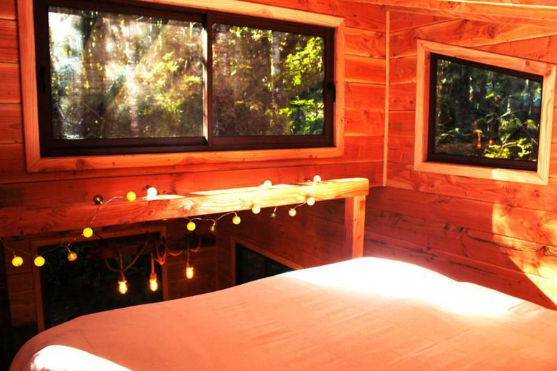 Cabanas Bosque Milenario Coñaripe 외부 사진