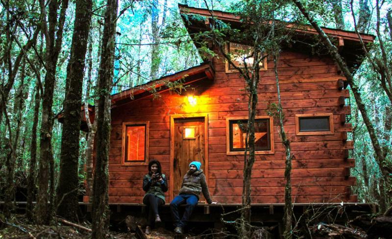 Cabanas Bosque Milenario Coñaripe 외부 사진