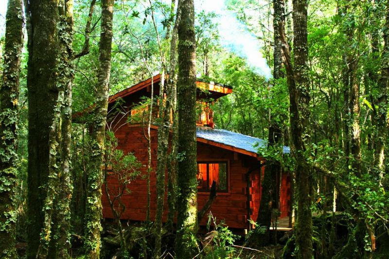 Cabanas Bosque Milenario Coñaripe 외부 사진