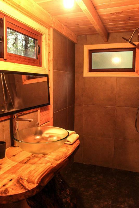 Cabanas Bosque Milenario Coñaripe 외부 사진