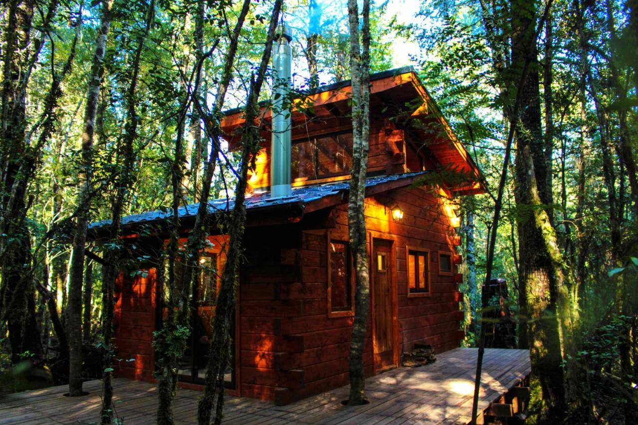 Cabanas Bosque Milenario Coñaripe 외부 사진