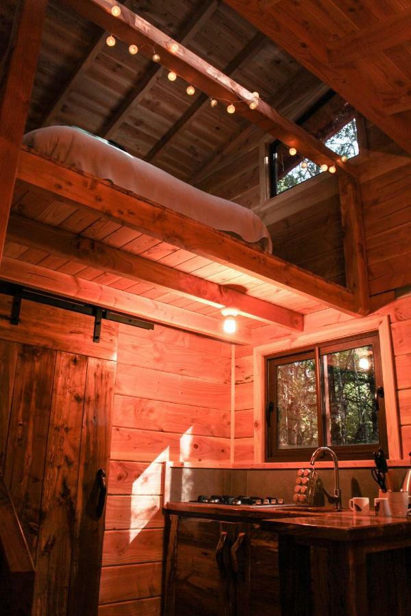 Cabanas Bosque Milenario Coñaripe 외부 사진