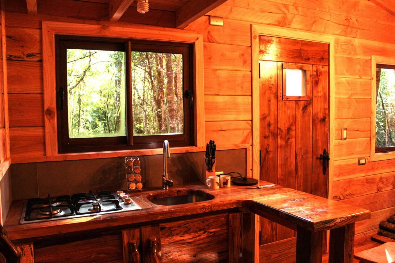 Cabanas Bosque Milenario Coñaripe 외부 사진