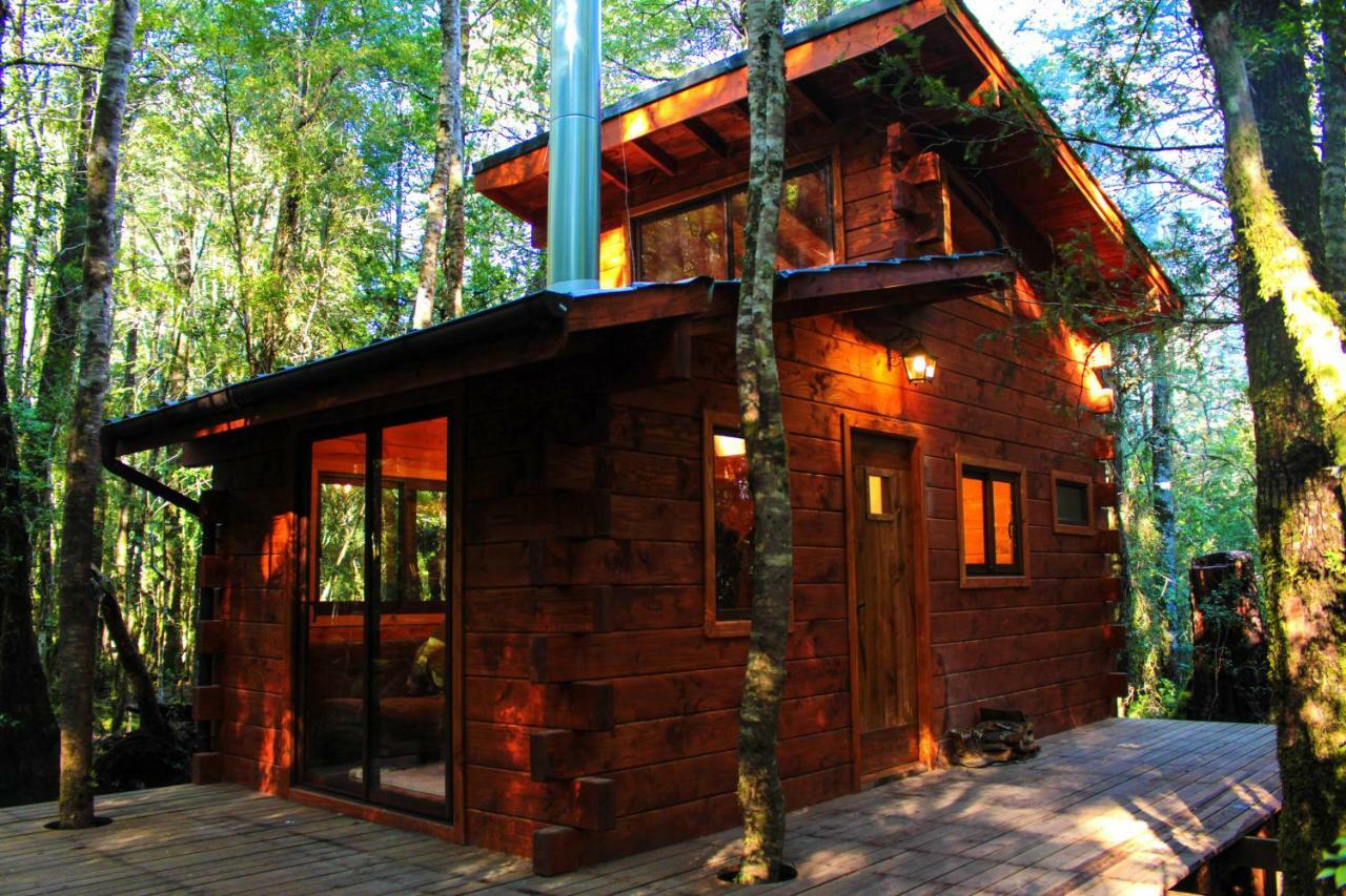 Cabanas Bosque Milenario Coñaripe 외부 사진