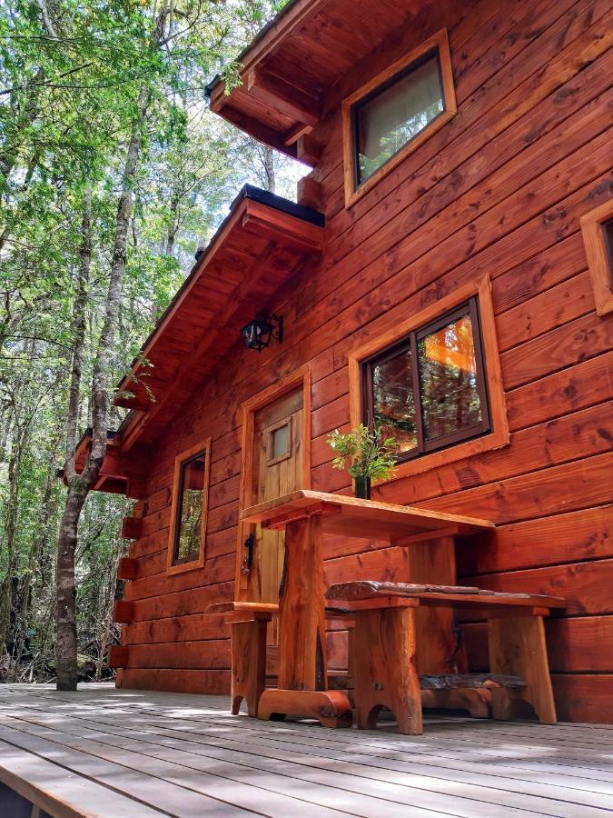 Cabanas Bosque Milenario Coñaripe 외부 사진